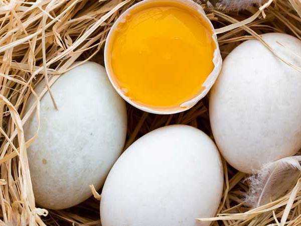 Nằm mơ thấy trứng vịt đánh con gì? ý nghĩa là gì?