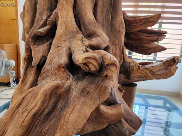 Nằm mơ thấy gỗ chọn con gì, số mấy rước lộc vào nhà