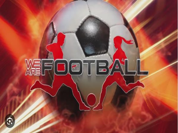Game nhập vai cầu thủ bóng đá - We Are Football