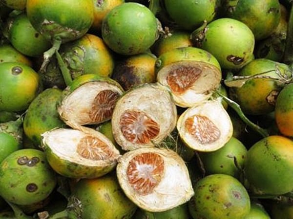 Mơ thấy quả cau may hay xui đánh con gì cho tiền tài đầy túi?