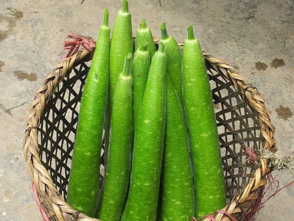 Thấy quả bầu chọn số nào