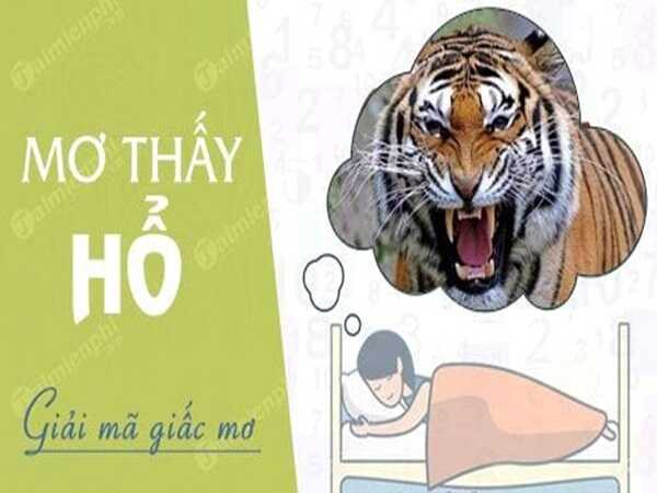 Giải mã mơ thấy con hổ rượt đuổi là gì? có số mấy may mắn?
