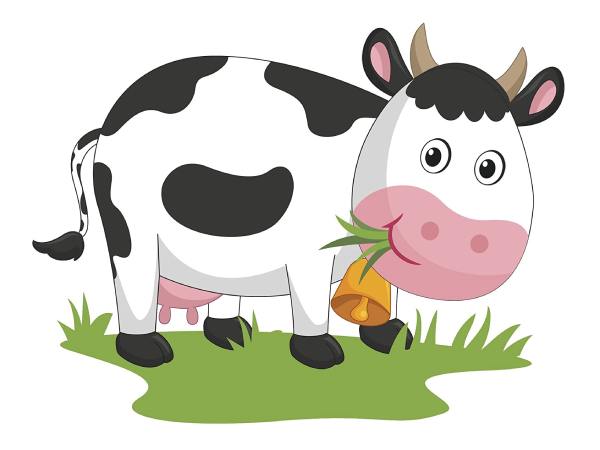 Con bò số mấy và những điều bạn nên biết về ý nghĩa con bò Con bò số mấy và những điều bạn nên biết về ý nghĩa con bò