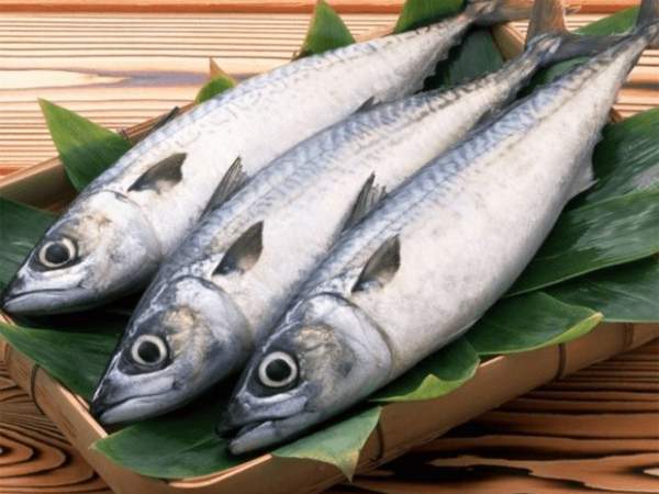 Ý nghĩa của cá trắng trong phong thủy Ý nghĩa của cá trắng trong phong thủy
